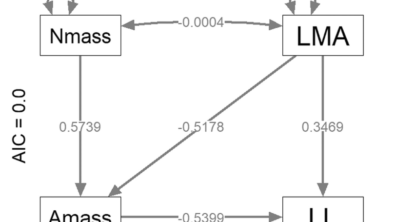 phylosem: A fast and simple R package for phylogenetic inference and trait imputation using phylogenetic structural equation models