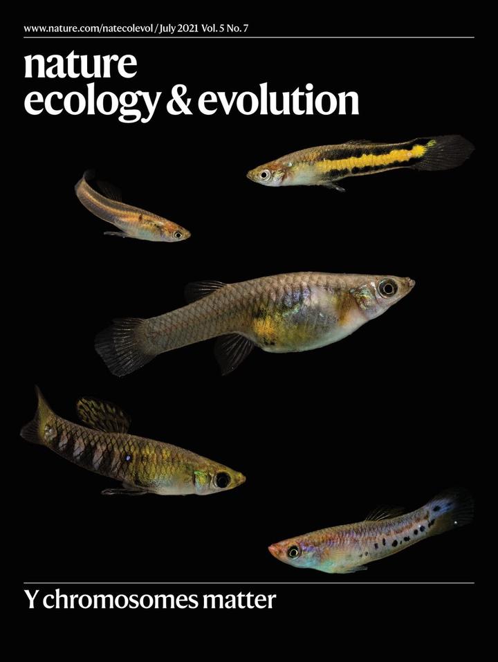 Nature Eco Evo journal cover.