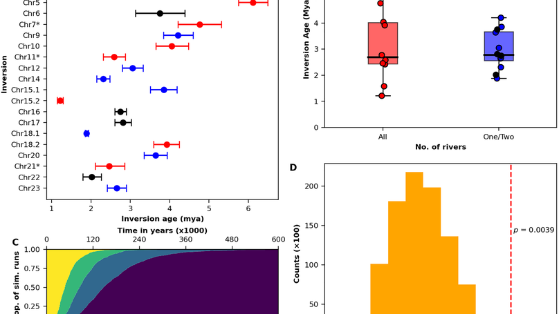 Ancient inversion polymorphisms associate with sexually selected traits across natural guppy populations
